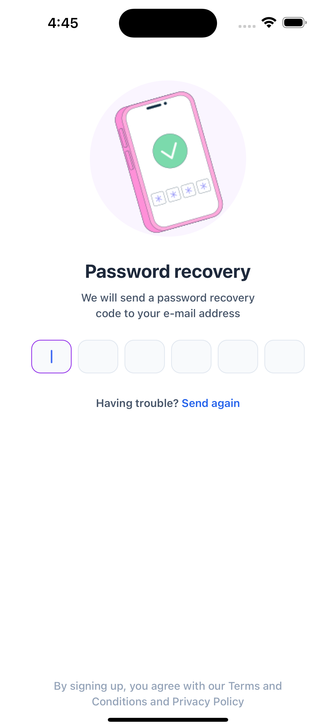 Password Recovery One Screen